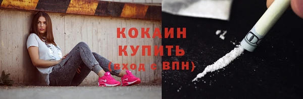 прущий лед Бикин