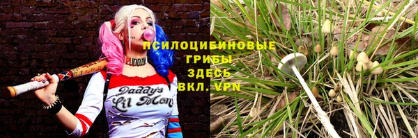 молекула духа Нефтегорск