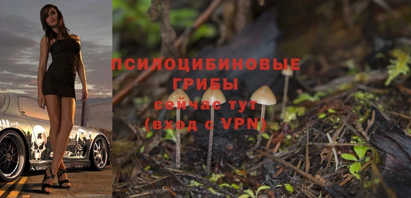 молекула духа Нефтегорск